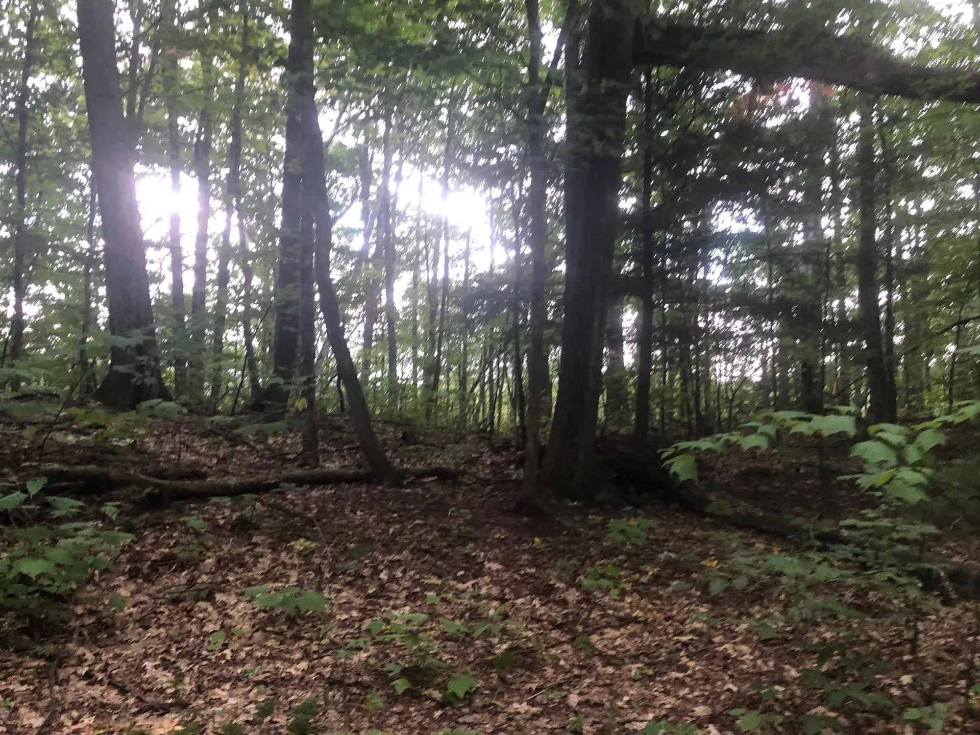 Paulsen Circle Haverhill NH 03785