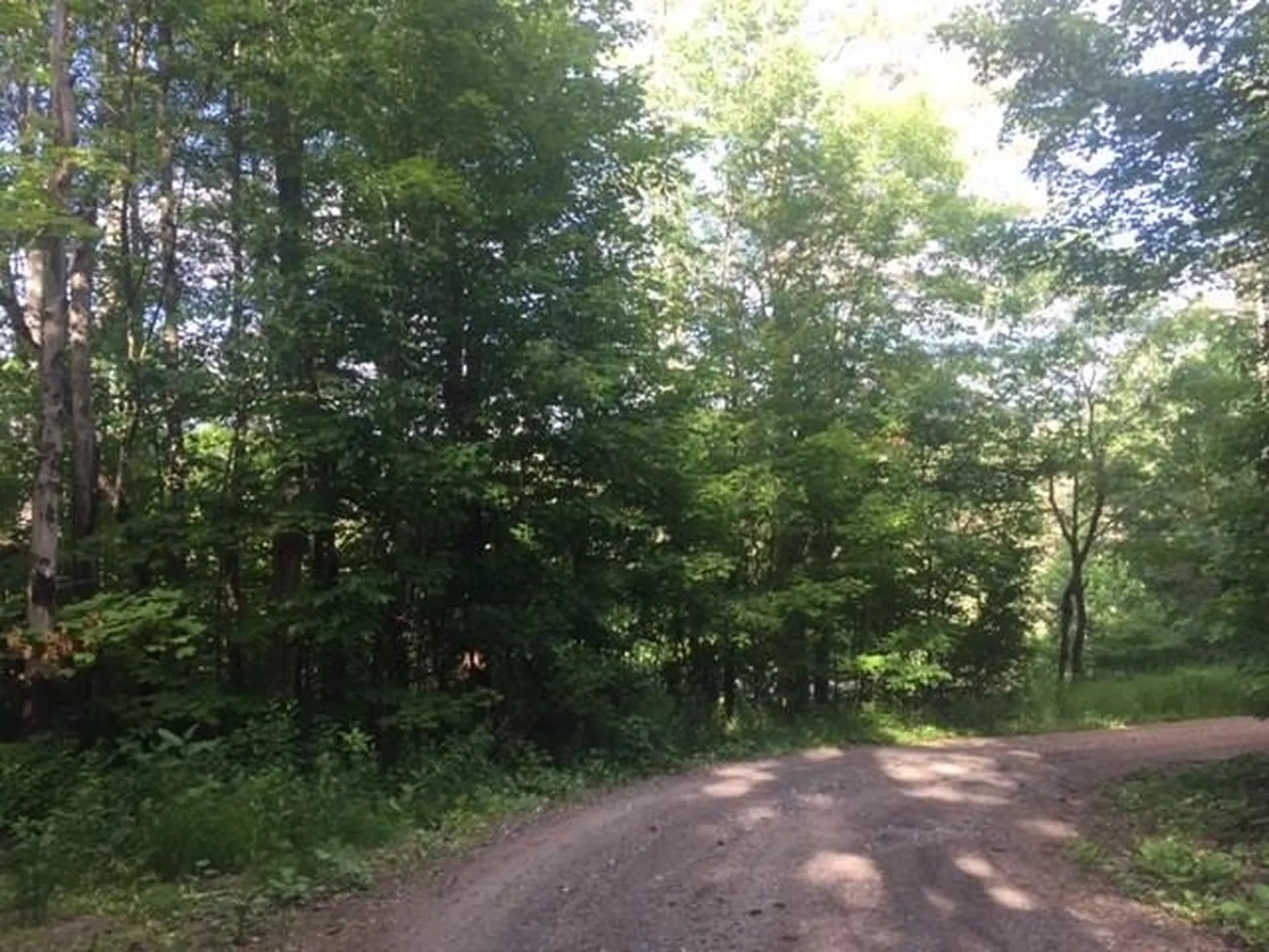 2592 Us Route 5 Burke VT 05871