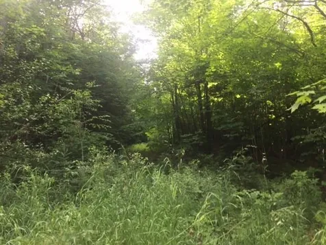 2592 Us Route 5 Burke VT 05871