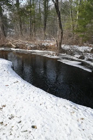 225 Shannon Road Salem NH 03079