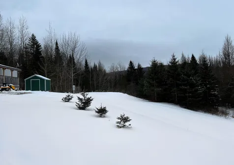 151 White Road Glover VT 05839