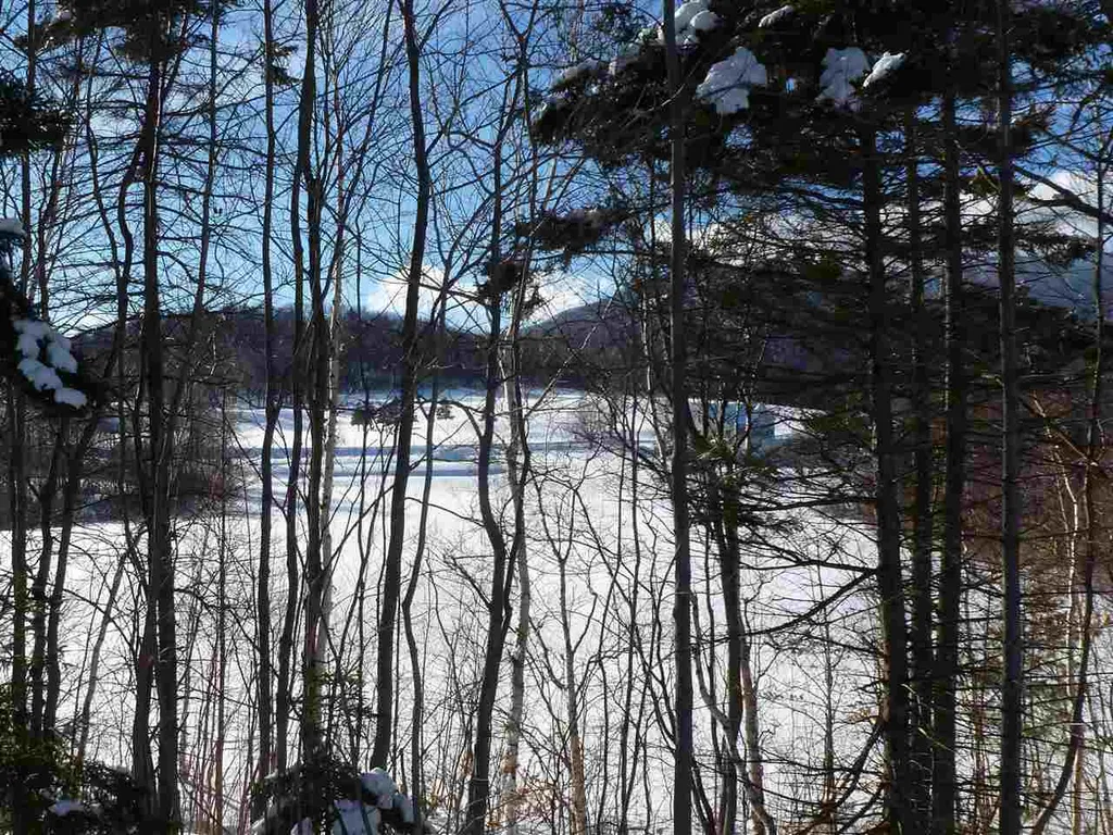 109 Meadow Lane Warren VT 05674