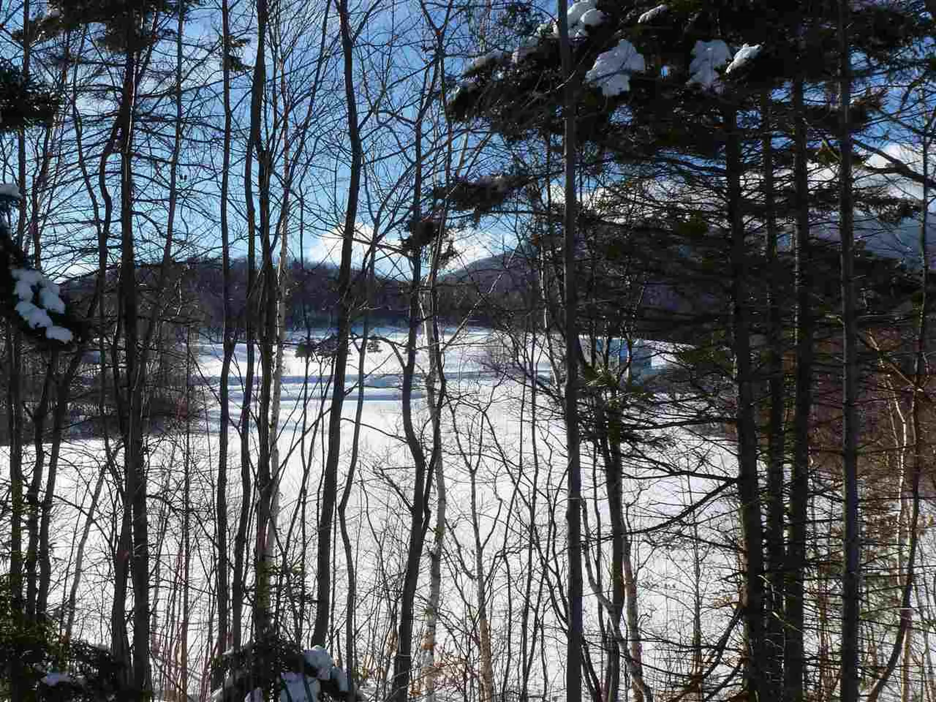 109 Meadow Lane Warren VT 05674