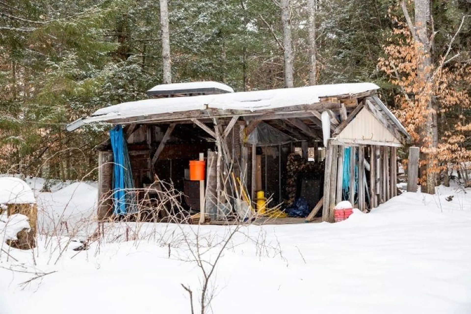 50 Learned Drive Westford VT 05494
