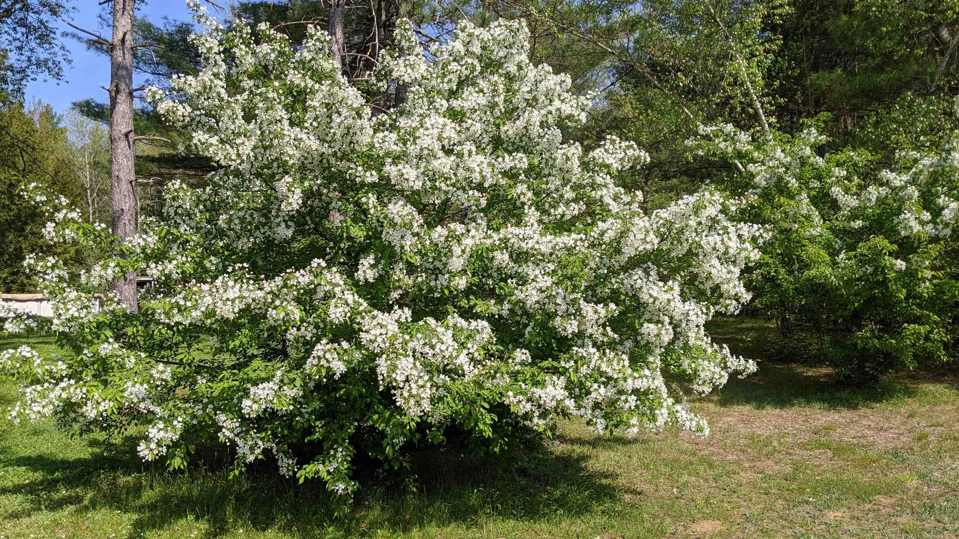 50 Learned Drive Westford VT 05494