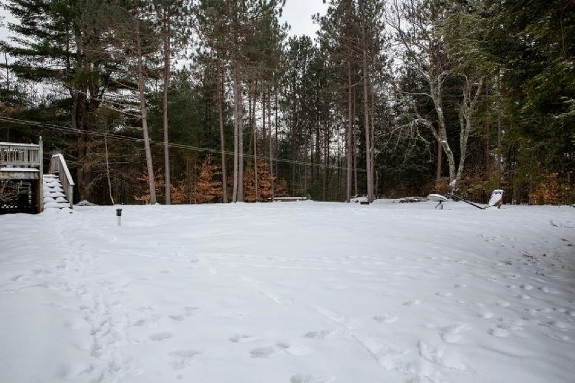 50 Learned Drive Westford VT 05494