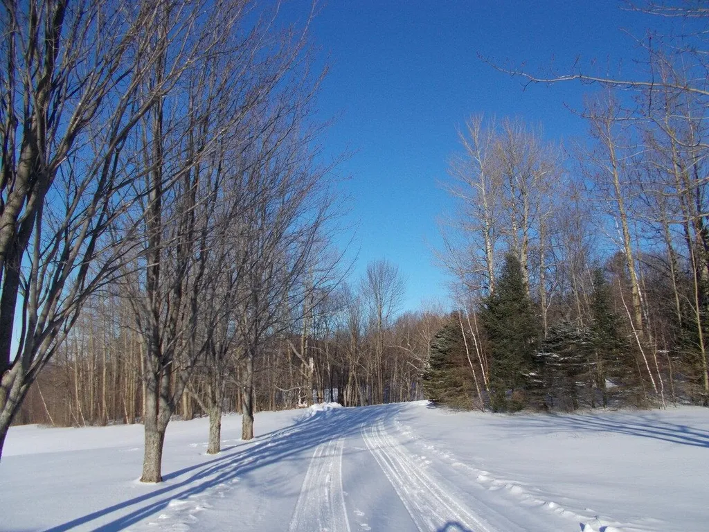 3348 Hill West Road Montgomery VT 05470