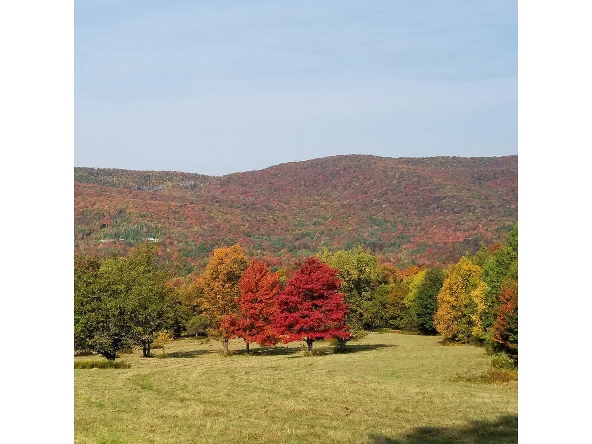 3348 Hill West Road Montgomery VT 05470
