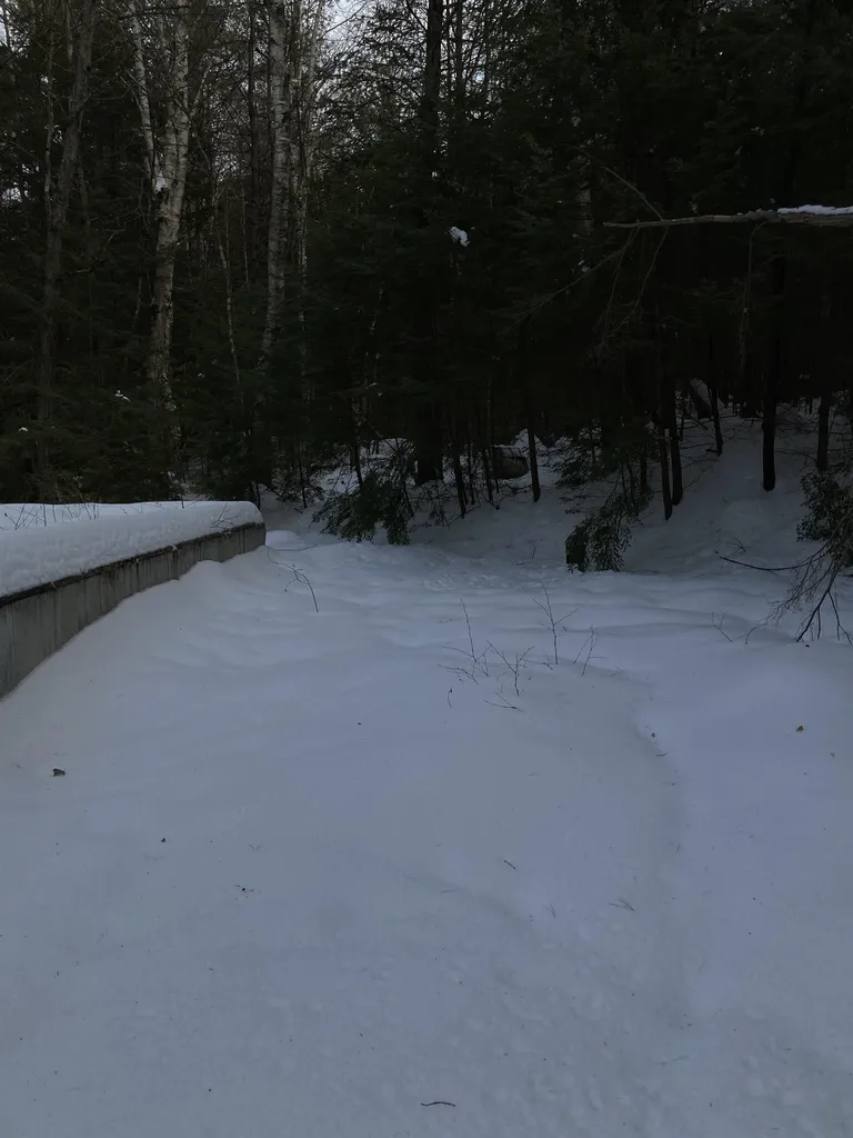 63 Codman Hill Road Deering NH 03244
