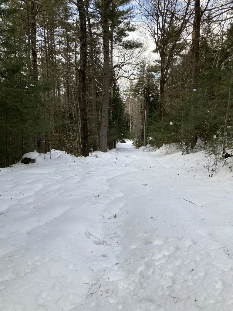 63 Codman Hill Road Deering NH 03244