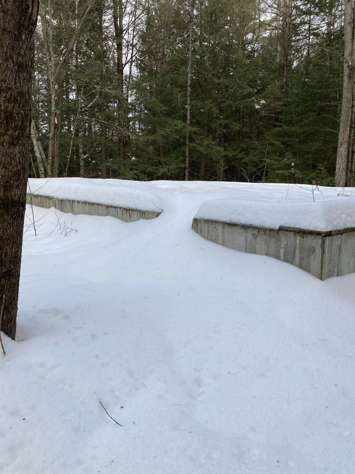 63 Codman Hill Road Deering NH 03244