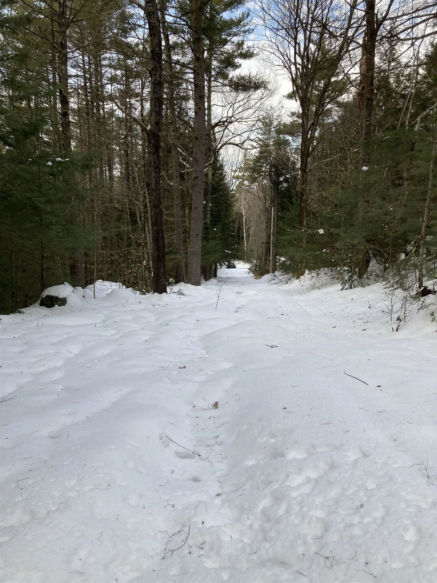 63 Codman Hill Road Deering NH 03244