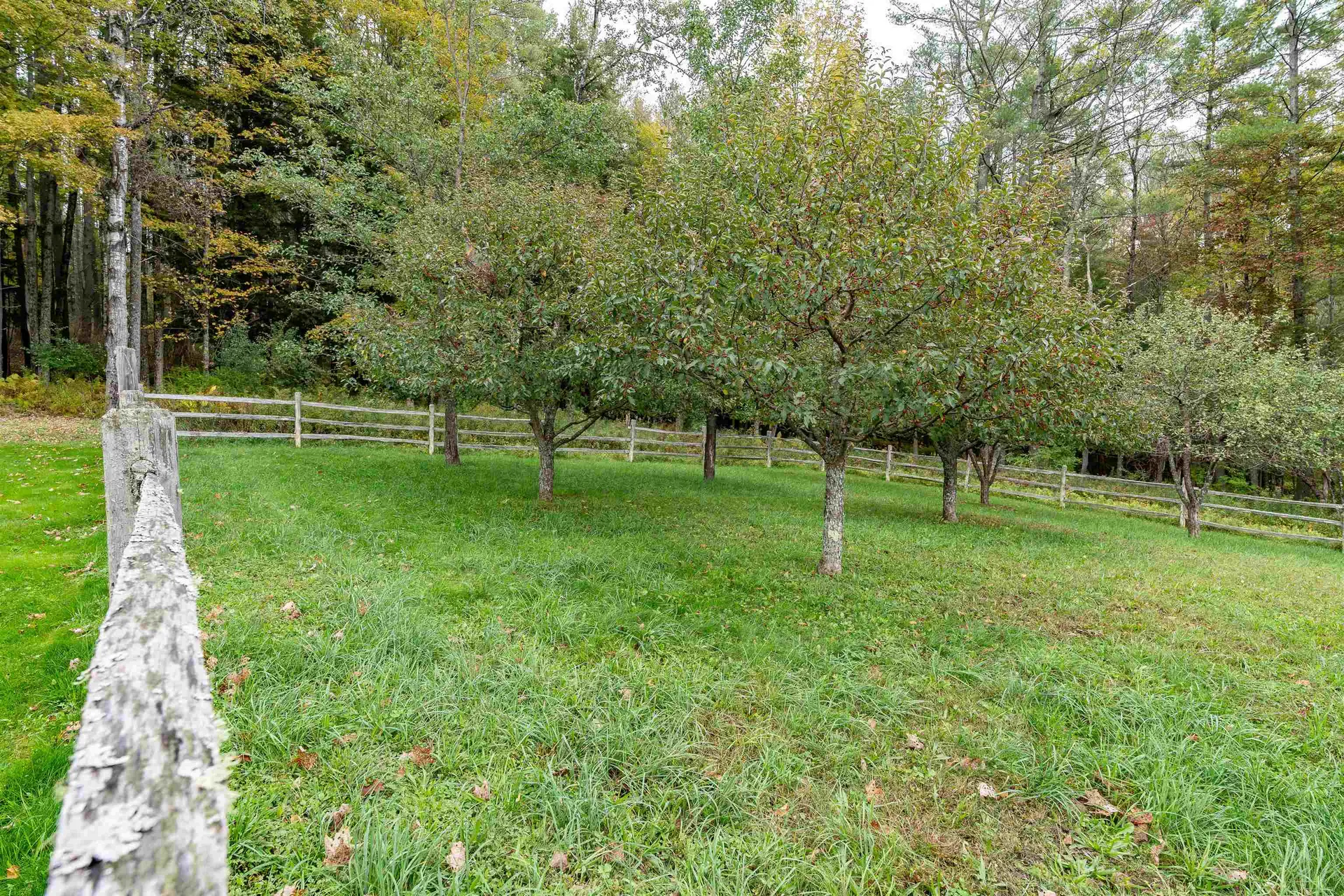 589 College Hill Road Woodstock VT 05091