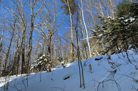 401 Sherwood Drive Mendon VT 05701