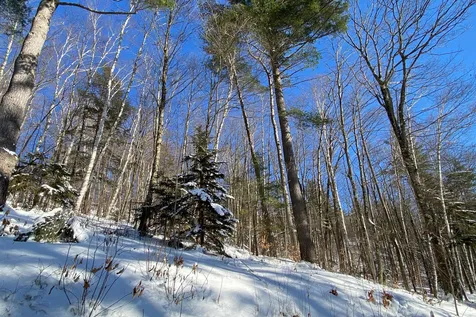 401 Sherwood Drive Mendon VT 05701