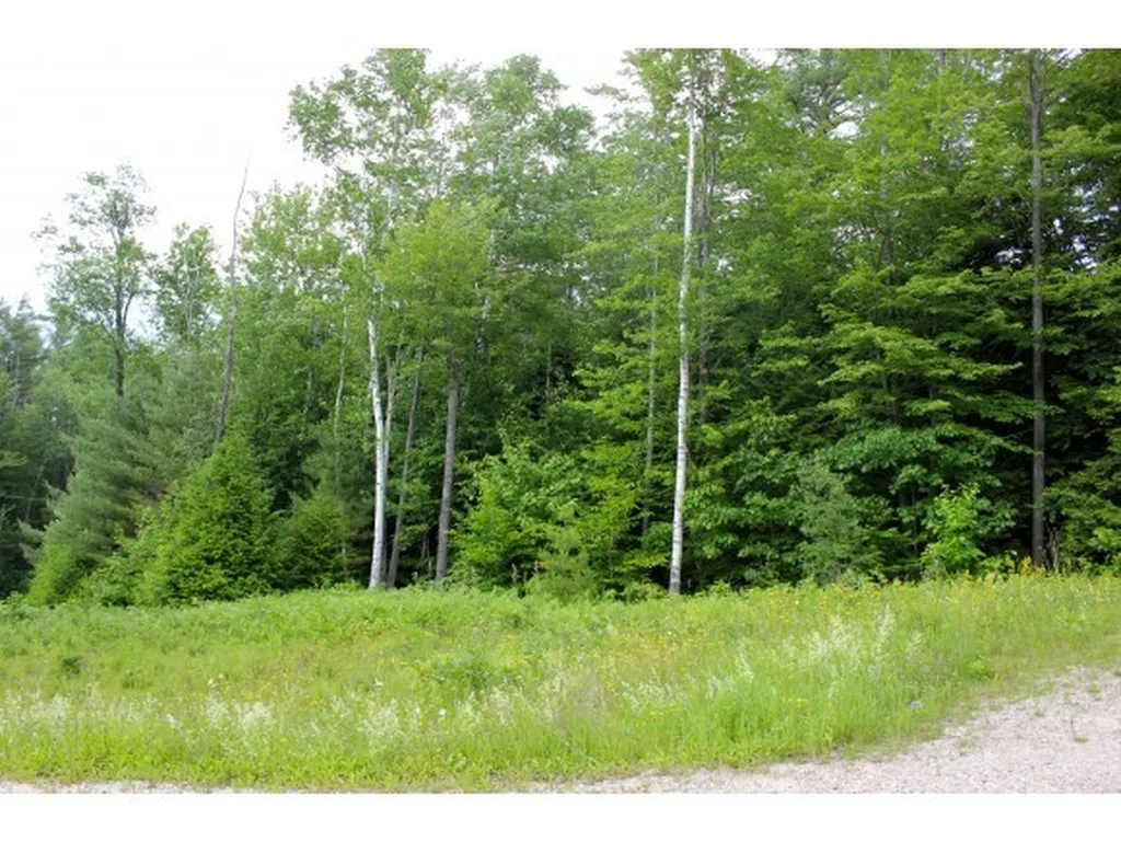 0 Partridge Road Ludlow VT 05149