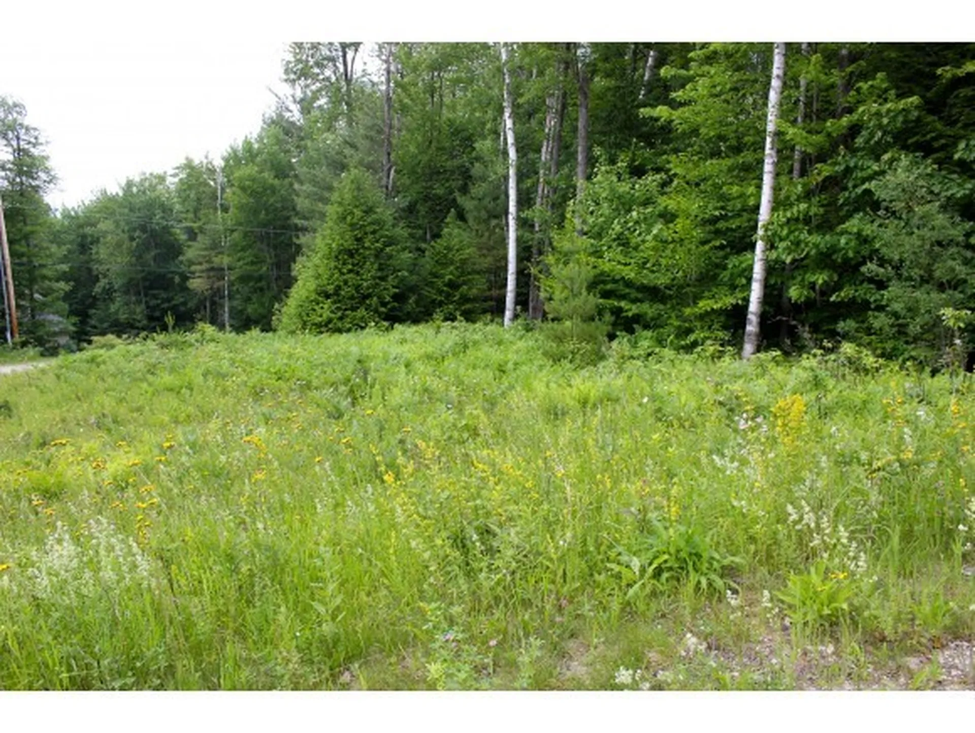 0 Partridge Road Ludlow VT 05149