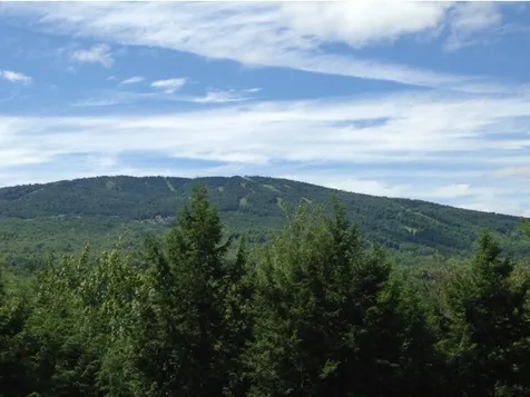 0 Partridge Road Ludlow VT 05149