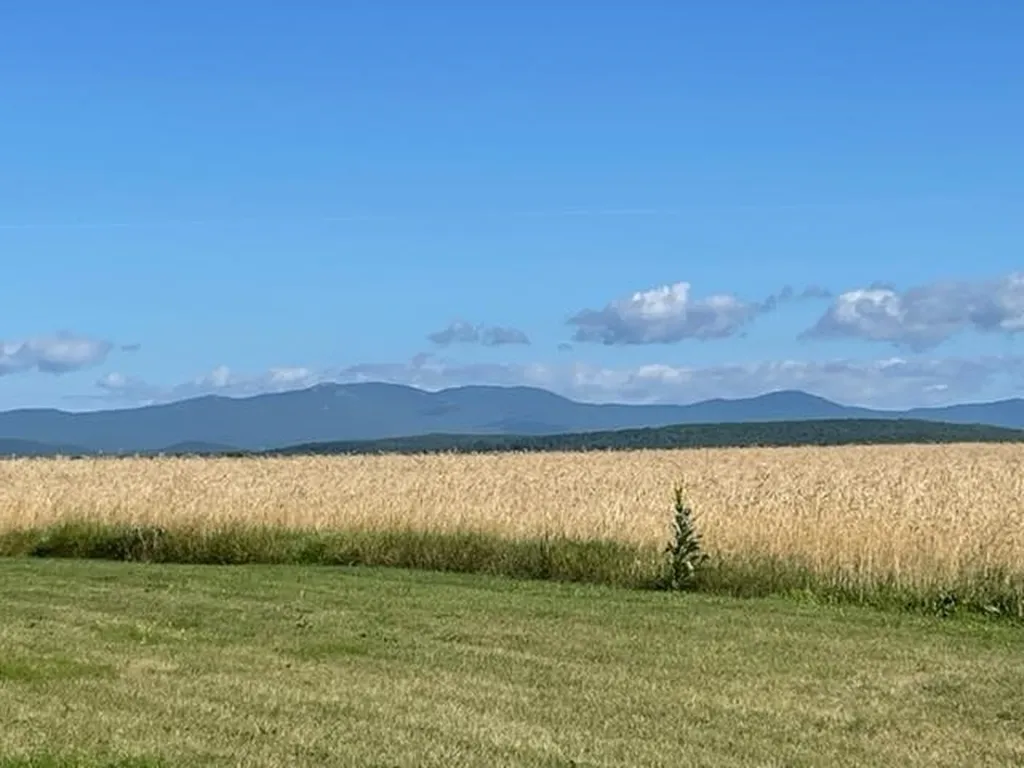 241 School Road Barre Town VT 05641