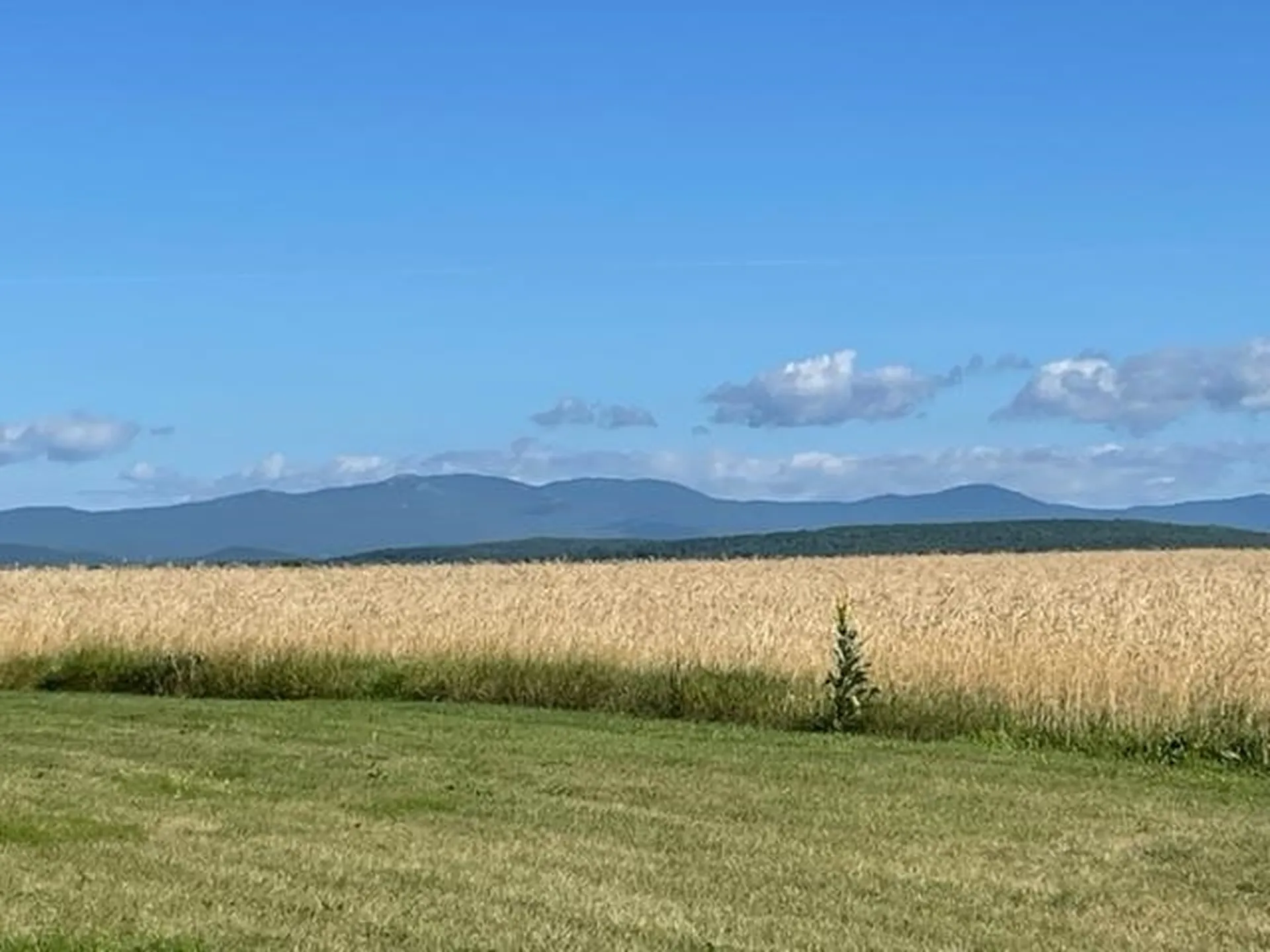 241 School Road Barre Town VT 05641
