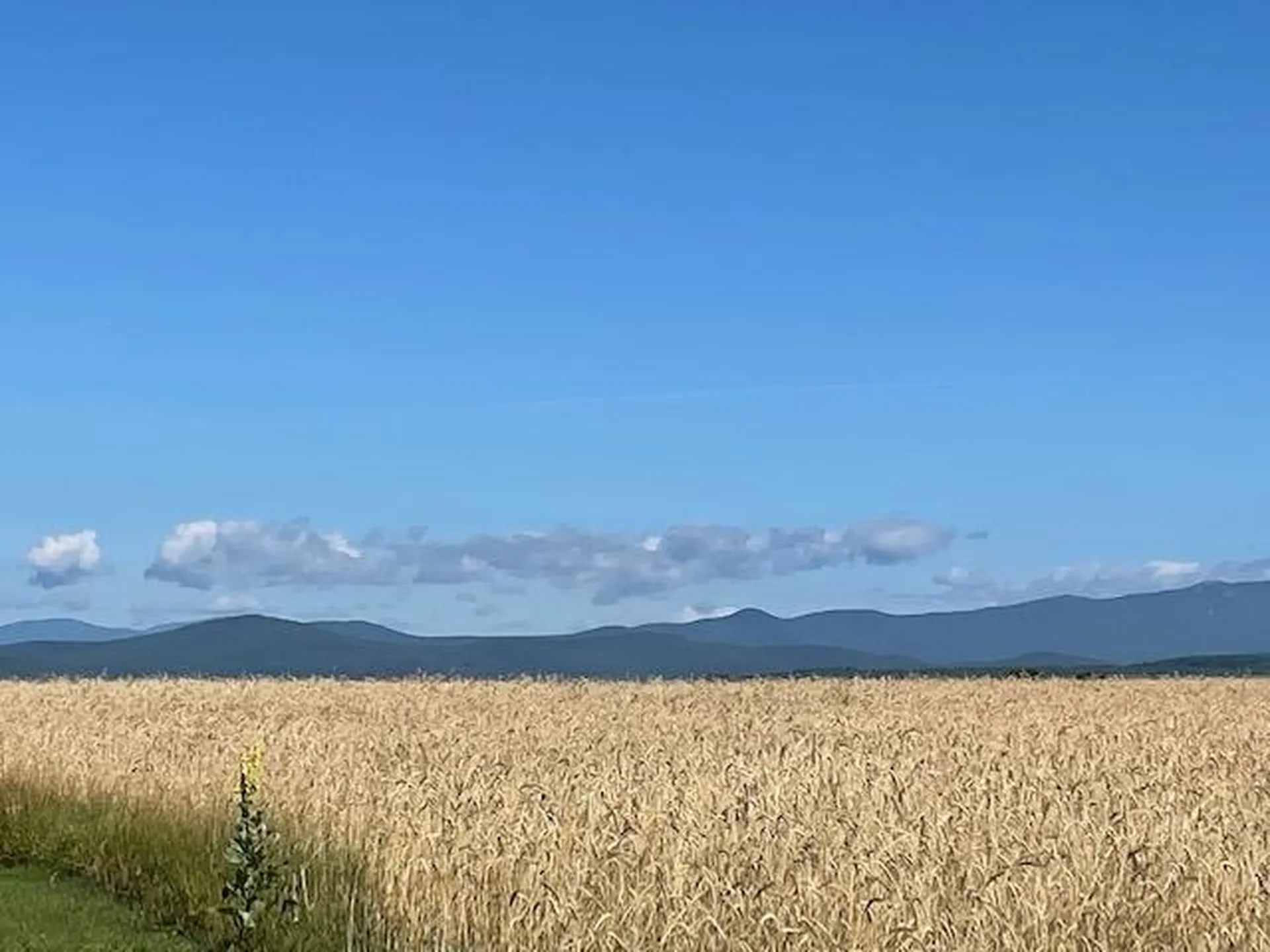 241 School Road Barre Town VT 05641