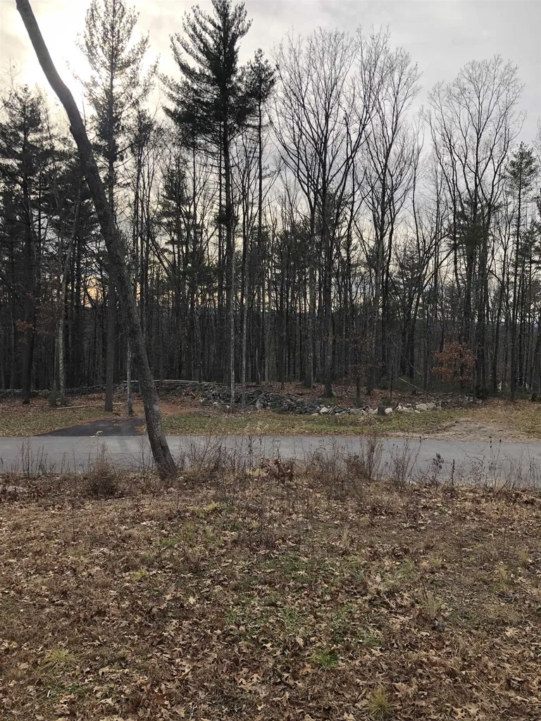 5 Whitetail Ridge Merrimack NH 03054