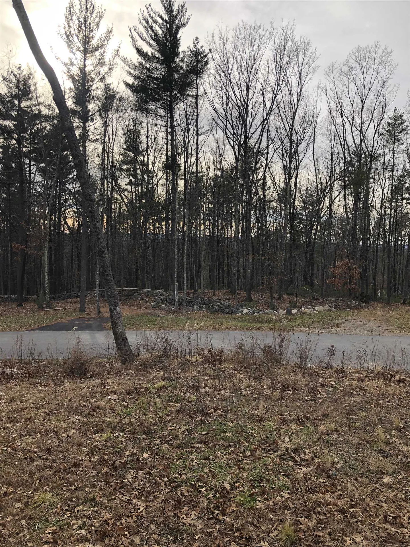 5 Whitetail Ridge Merrimack NH 03054