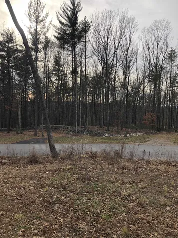 5 Whitetail Ridge Merrimack NH 03054