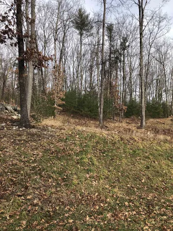 5 Whitetail Ridge Merrimack NH 03054