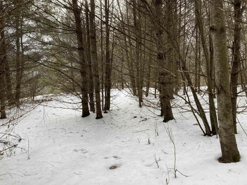 Hall Road Canaan NH 03741