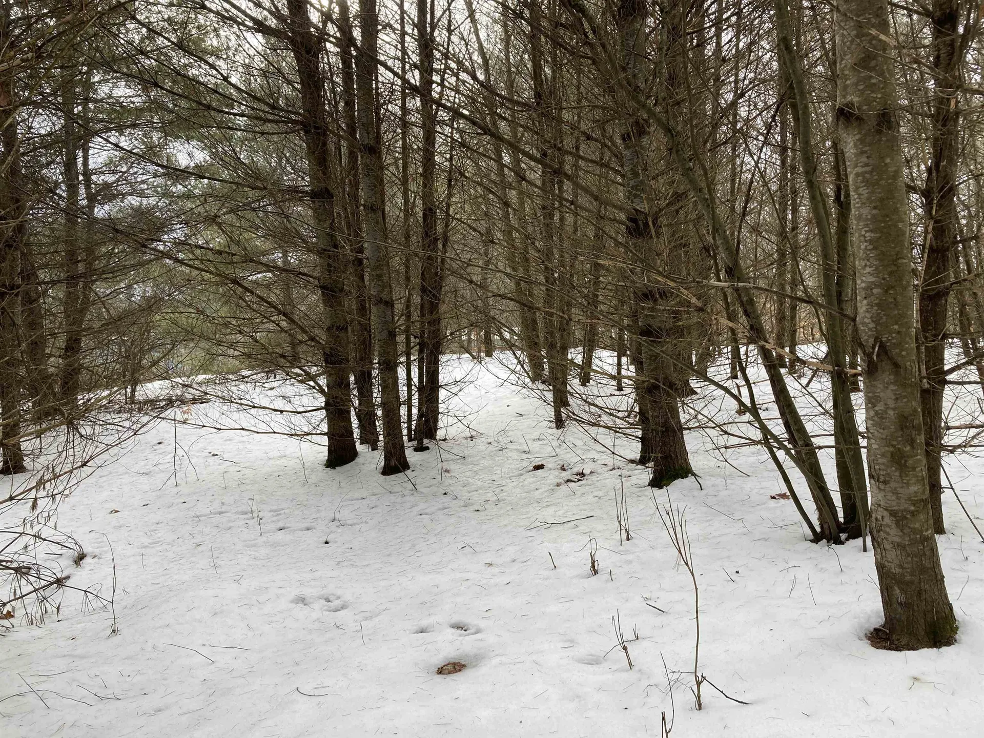 Hall Road Canaan NH 03741