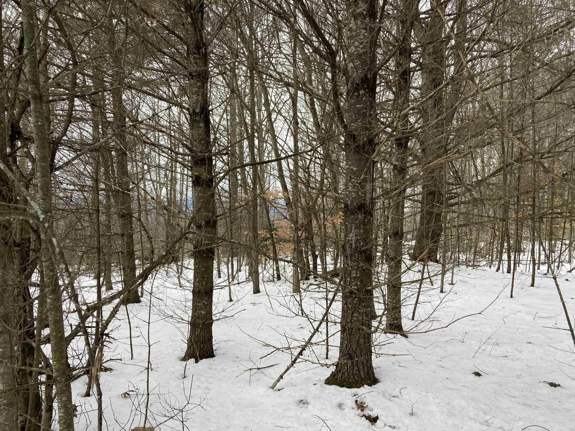 Hall Road Canaan NH 03741