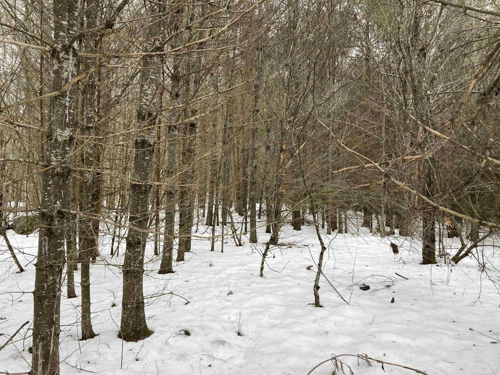 Hall Road Canaan NH 03741