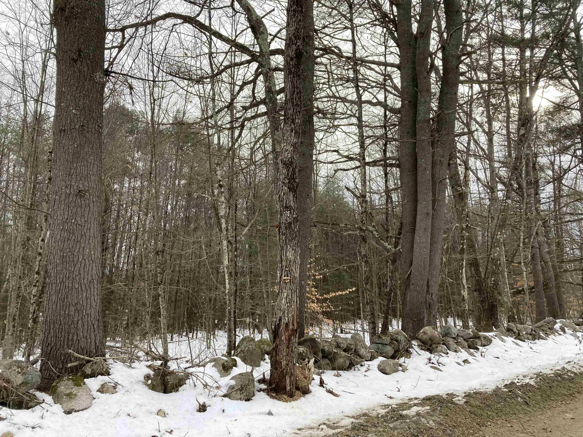 Hall Road Canaan NH 03741