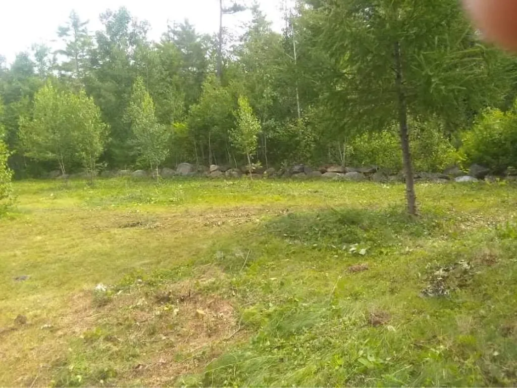218 Gordon Hill Road Alexandria NH 03222