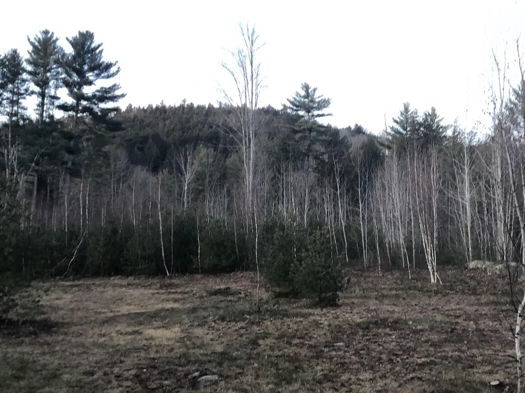 218 Gordon Hill Road Alexandria NH 03222