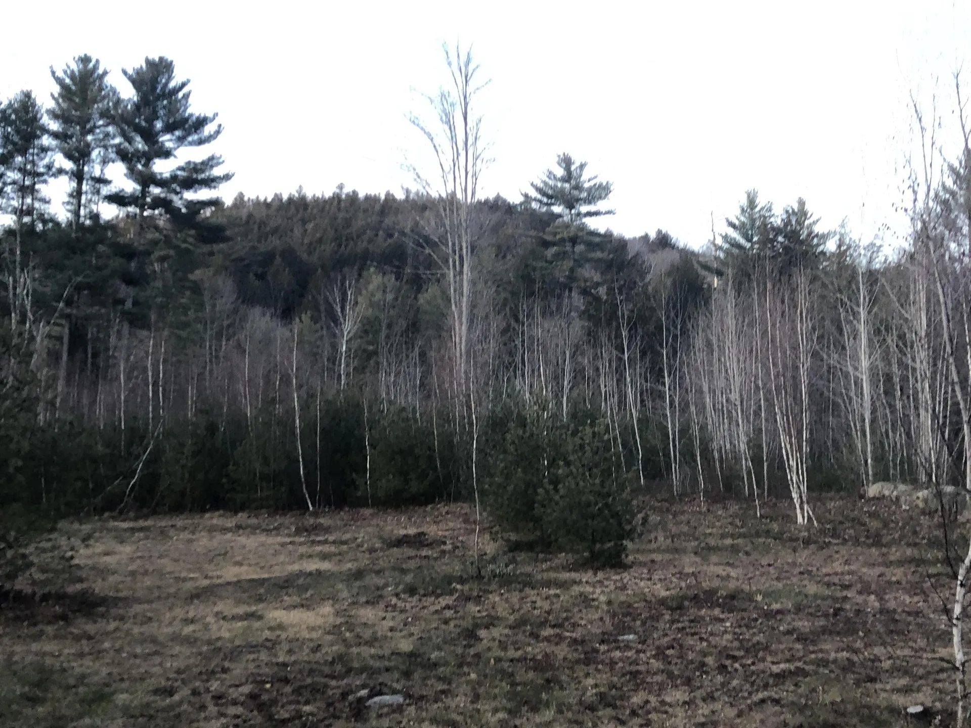 218 Gordon Hill Road Alexandria NH 03222