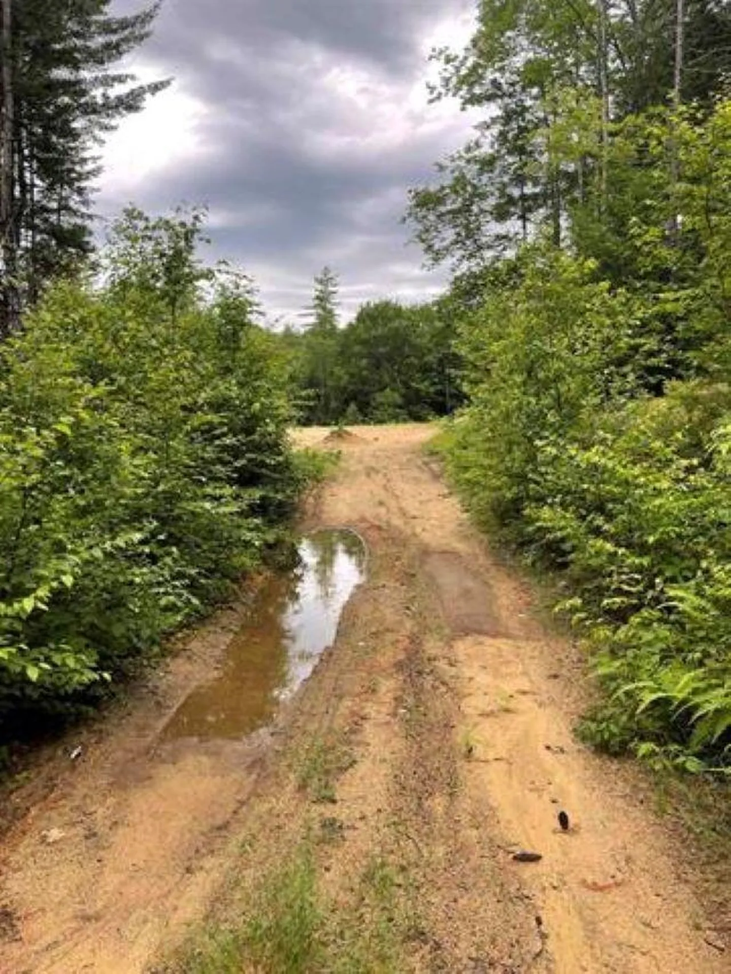 20 Nash Corner Road Gilsum NH 03448