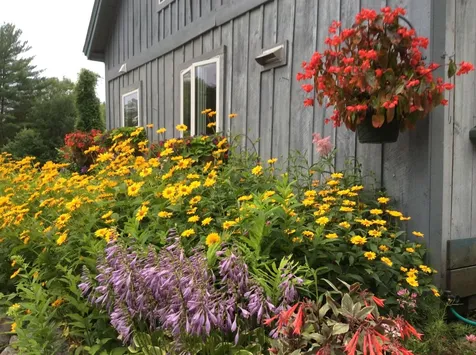 1824 Vt Route 11 East Chester VT 05143