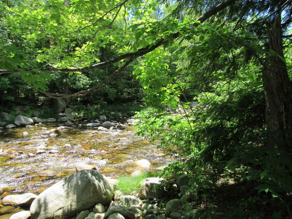 99 Evans Street Gorham NH 03581