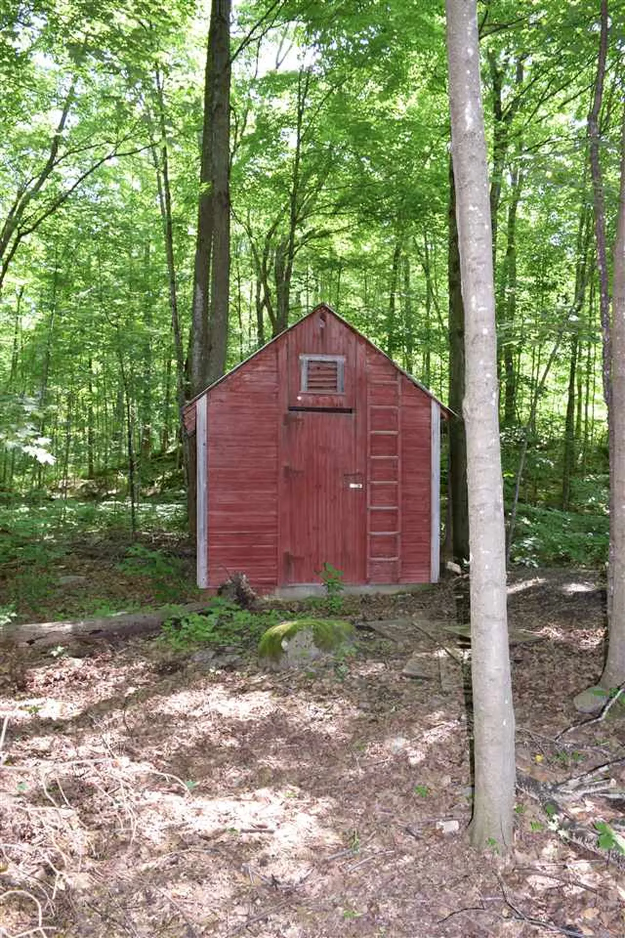 1912 W Shore Road Salisbury VT 05769