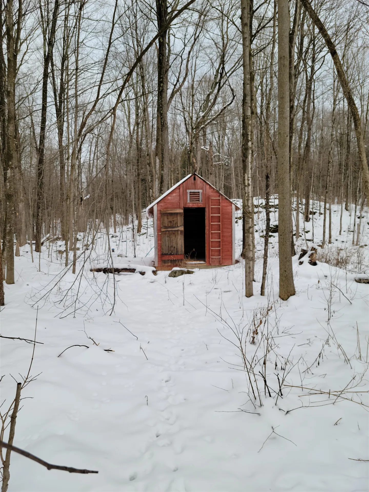 1912 W Shore Road Salisbury VT 05769