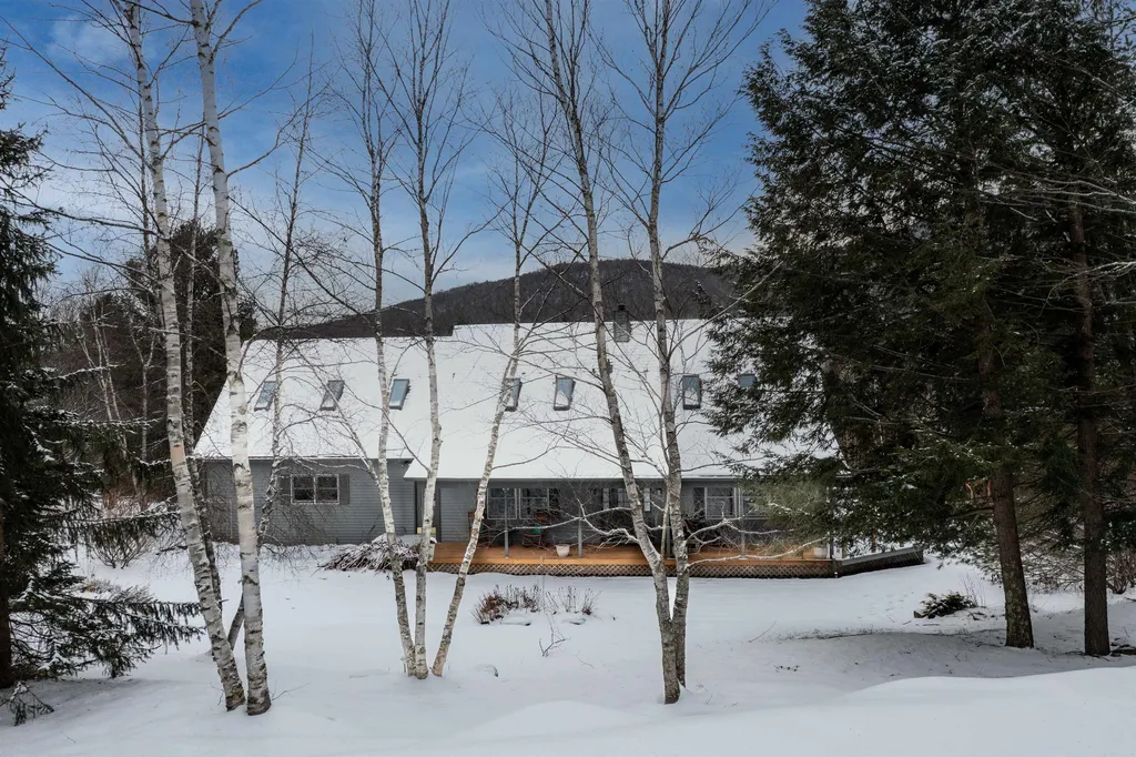 250 Hoadley Brook Lane Stowe VT 05672