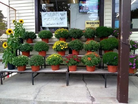 300 Gage Street Bennington VT 05201