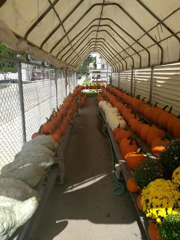 300 Gage Street Bennington VT 05201