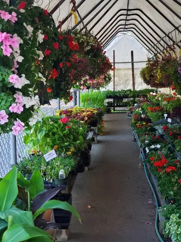 300 Gage Street Bennington VT 05201