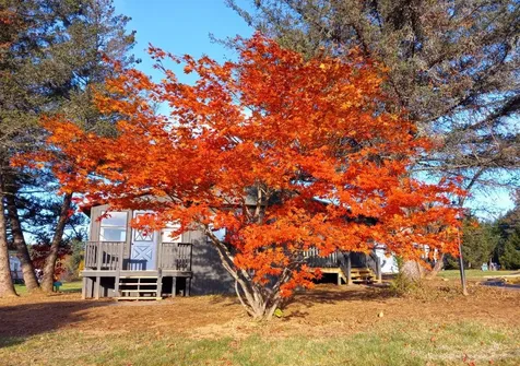 105 Scenic Drive Belmont NH 03220