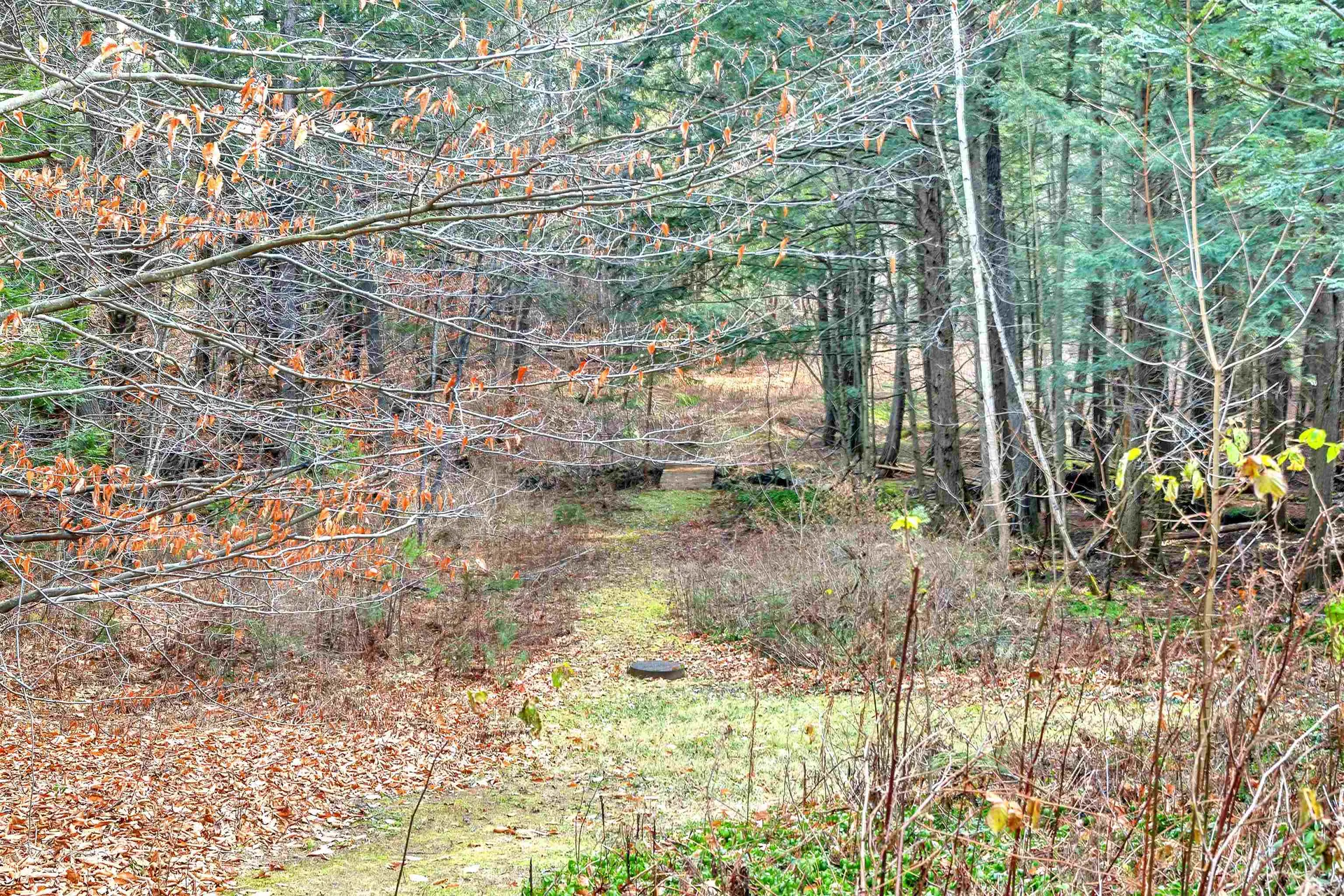 7 Townhouse Way Woodstock VT 05091