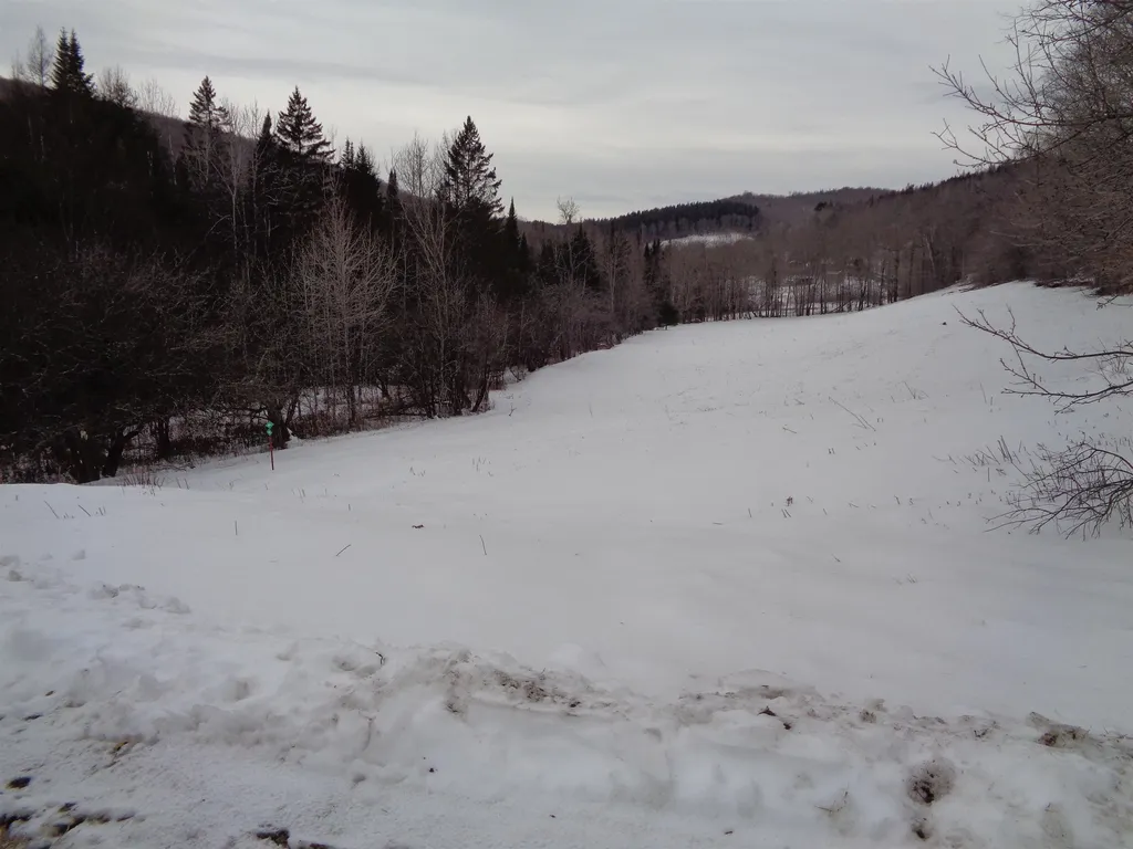 403 Durgin Hill Road Vershire VT 05079