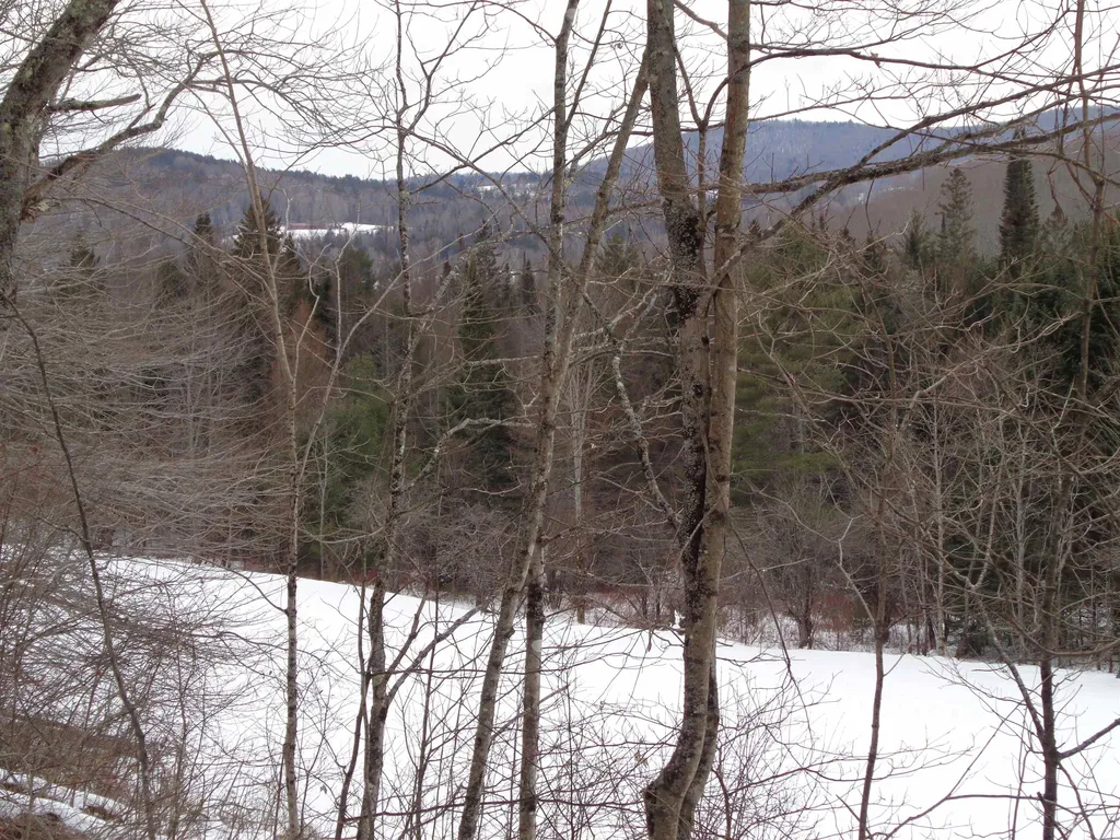 403 Durgin Hill Road Vershire VT 05079